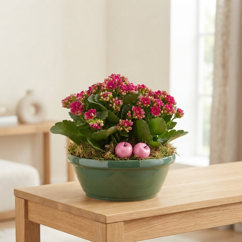 Green Houseplant Arrangement – 3 Plants
