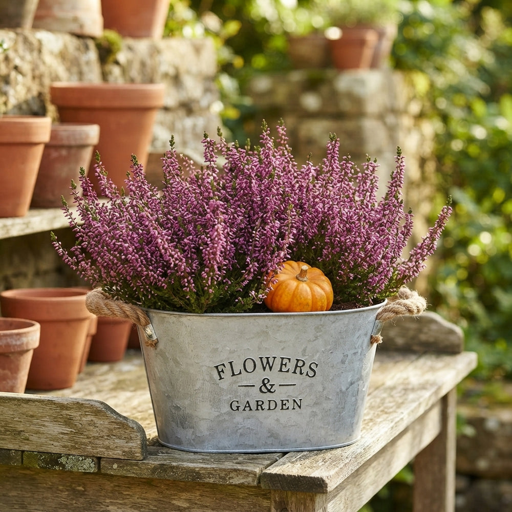 Oval Zinc Garden Flower Arrangement