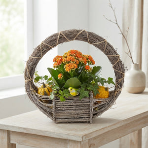 XL Hanging Basket Arrangement – 3 Plants
