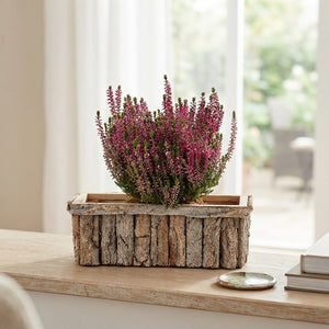 Wooden Bark Arrangement