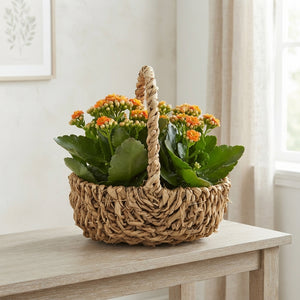 Seagrass Harvest Basket Arrangement