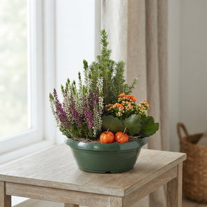 Green Indoor Plant Arrangement – 3 Plants