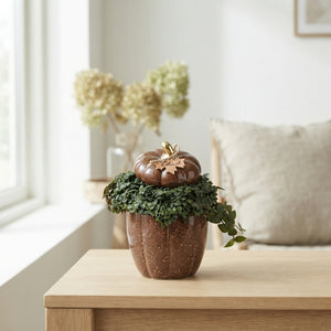 Mixed Ceramic Pumpkin Arrangement – 10.5cm Pot