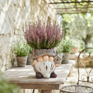 Outdoor Plant Arrangement with Ceramic Forest Gnome – 20cm Pot