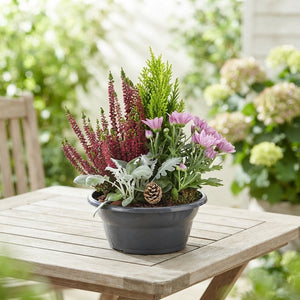 Classic Outdoor Plant Arrangement – 24cm Pot