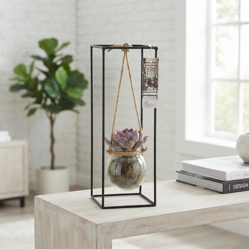 Black Metal Hanging Plant Rack – 11cm Pot
