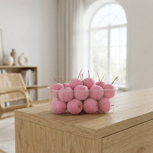 Pink Waxflower Decorative Plant