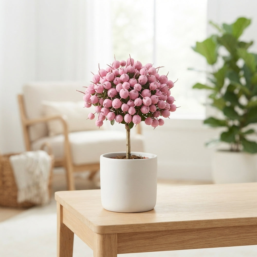 Pink Wax Apple Blossom Branches