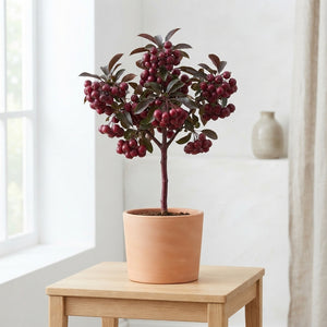 Red Waxflower Decorative Stems