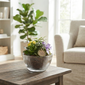 Mixed Plant Arrangement in Ribbed Glass Bowl – 18cm