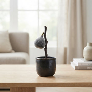 Black Wax Flower Stem – 39cm