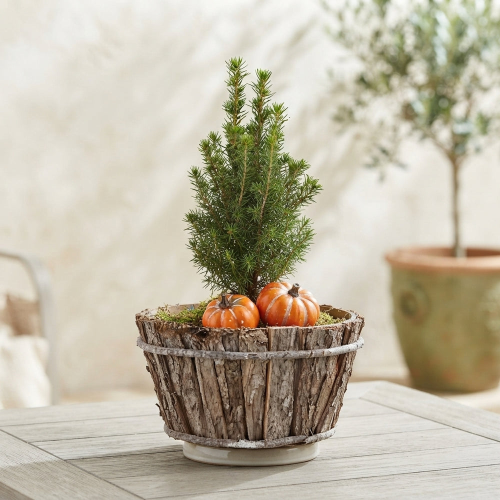 Mixed-Colour Round Bark Arrangement