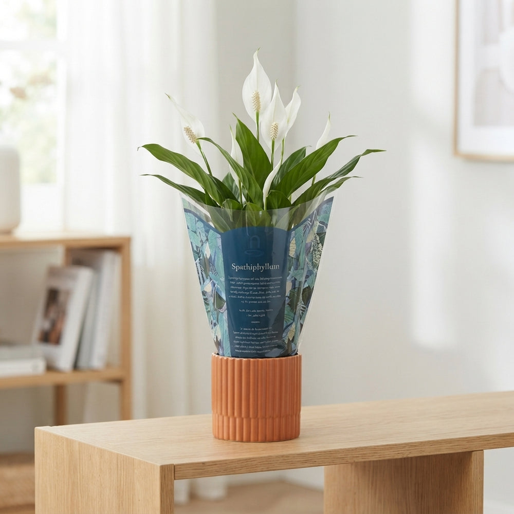 Mixed Colour Floral Arrangement