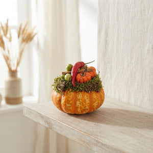 Ornamental Cucurbita Display – Ceramic Pot