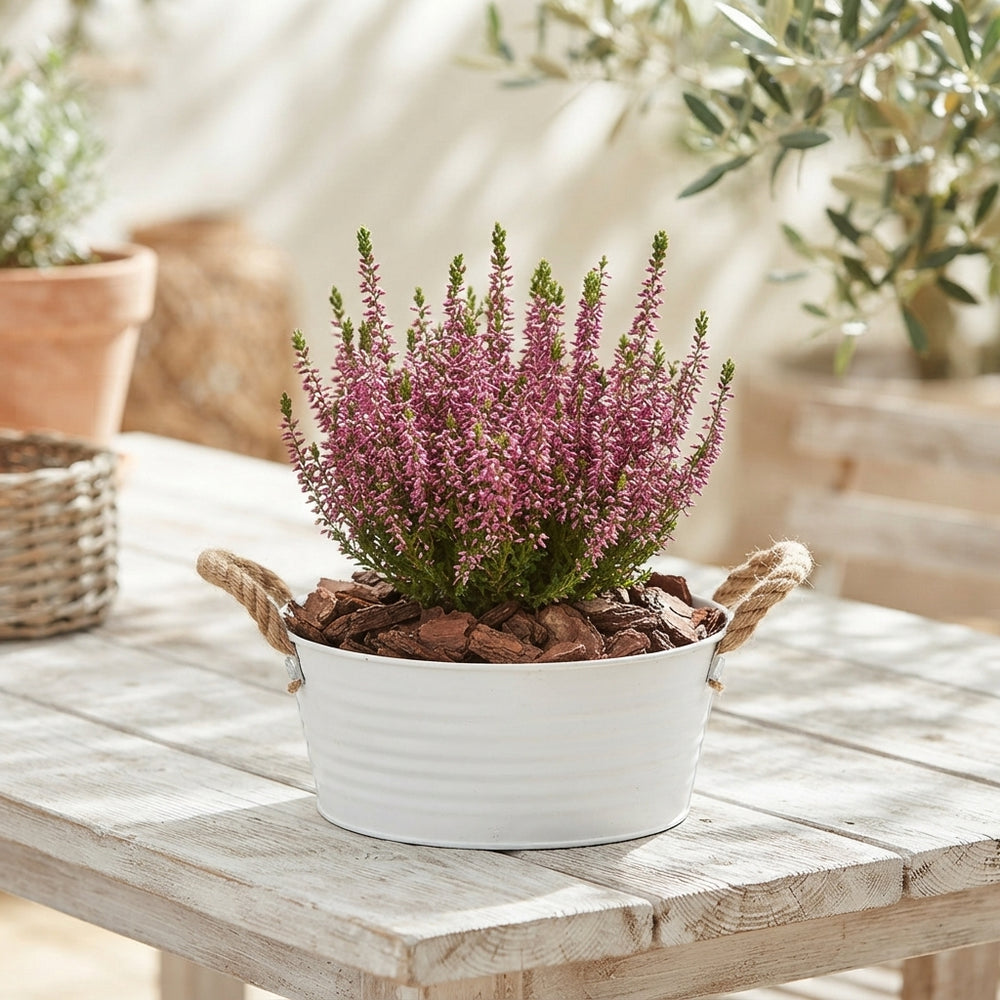 Pink Outdoor Arrangement in Zinc Planter