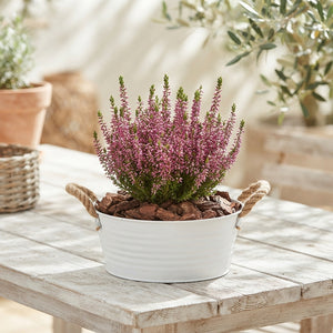 Pink Outdoor Arrangement in Zinc Planter
