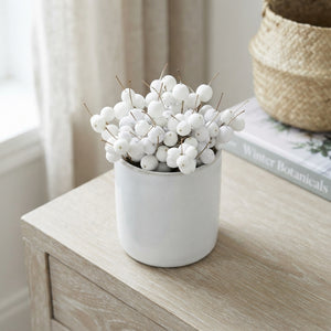 White Waxflower Decorative Stems