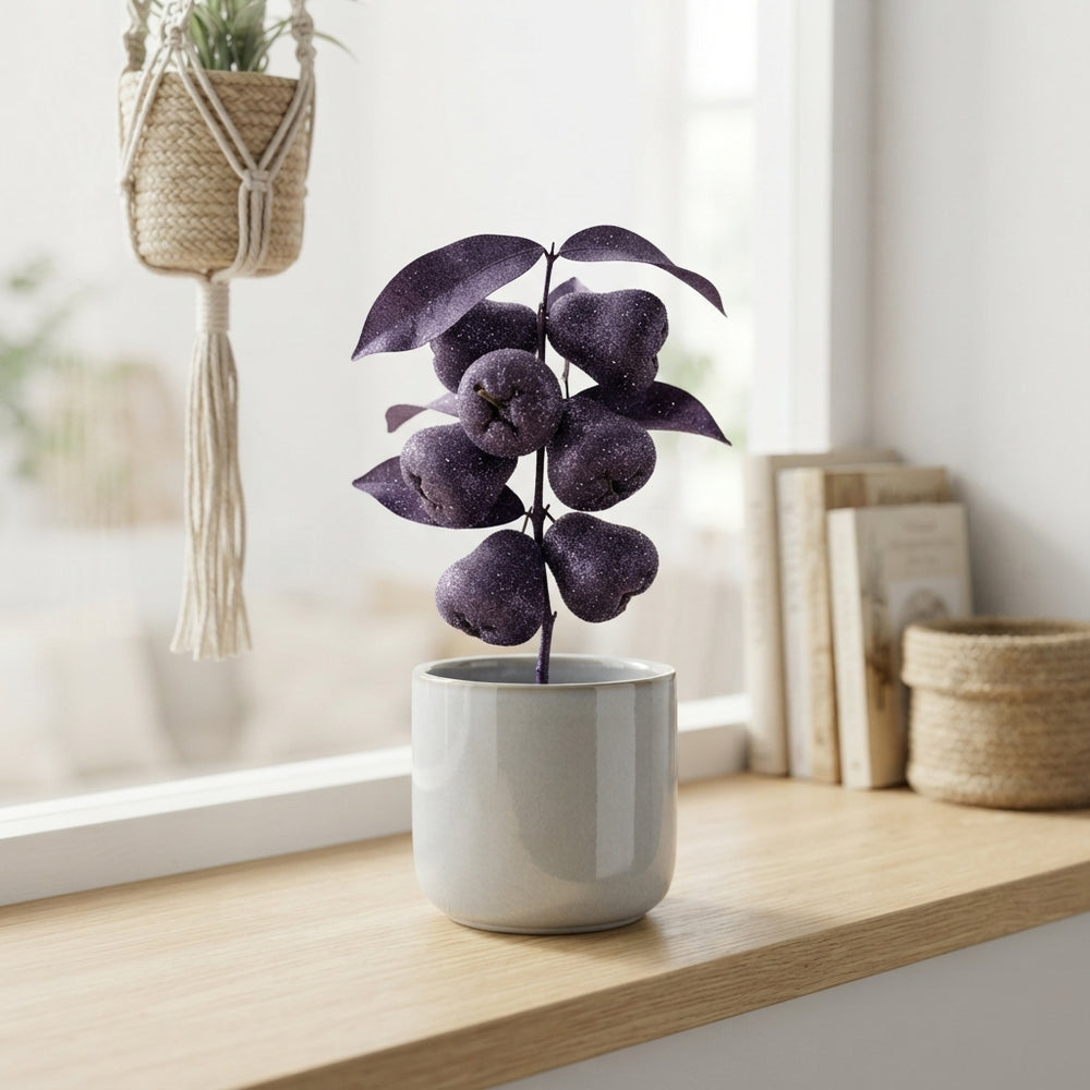 Purple Wax Apple Plant