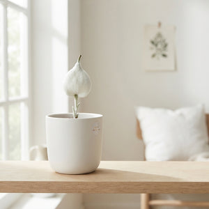 White Wax Flower Stem