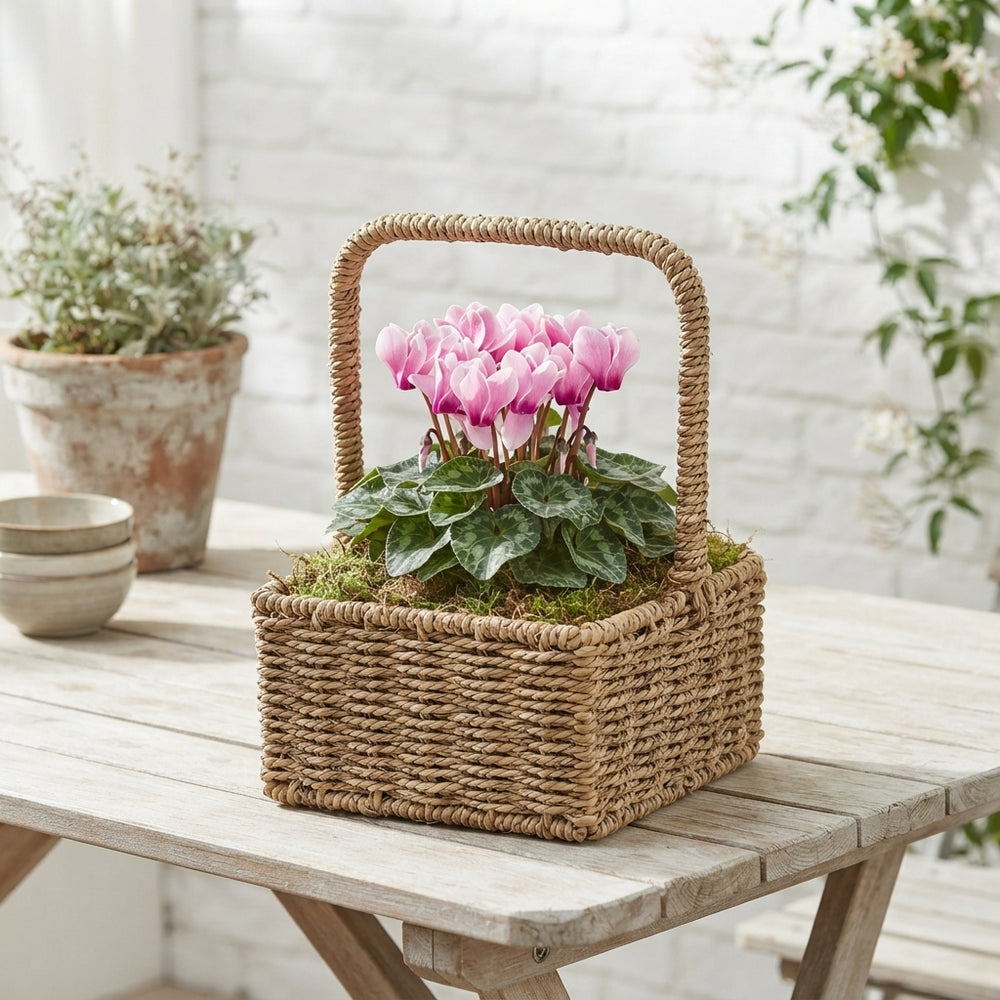 Mixed Dried Seagrass Harvest Basket Arrangement