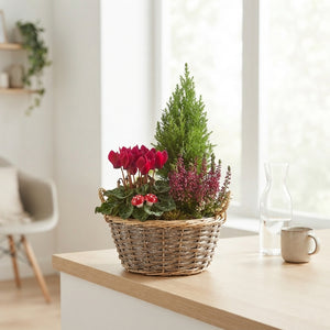 Mixed Colour Floral Arrangement