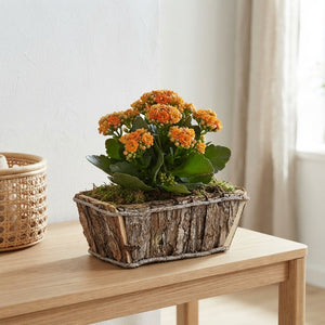 Mixed Colour Wooden Arrangement