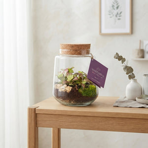 Mercurius Medium Glass Terrarium – 16cm