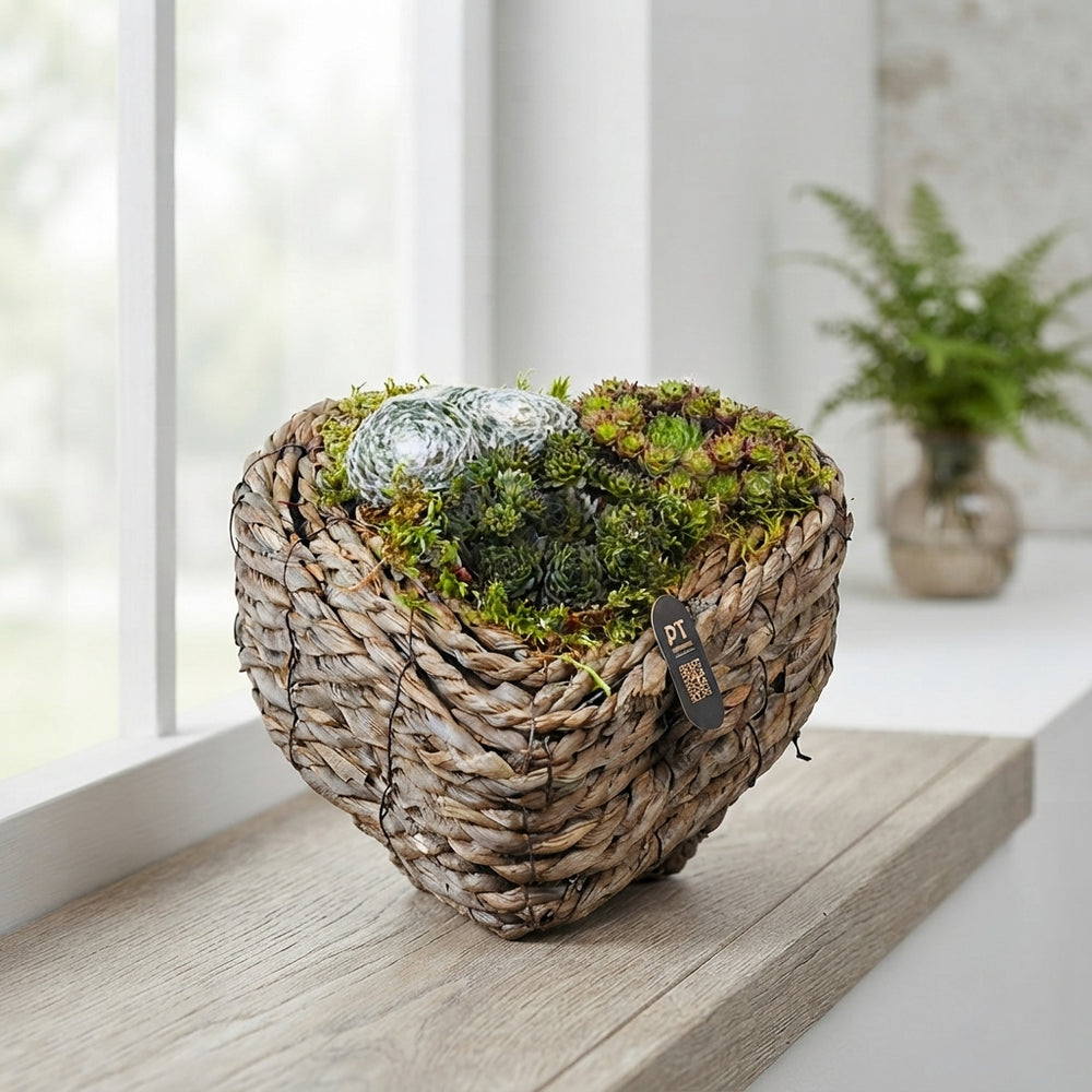 Heart-Shaped Wicker Plant Arrangement – 26cm