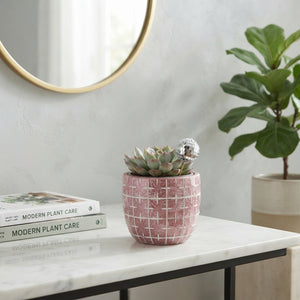 De Truly Succulent in Disco Mosaic Pot – 10cm