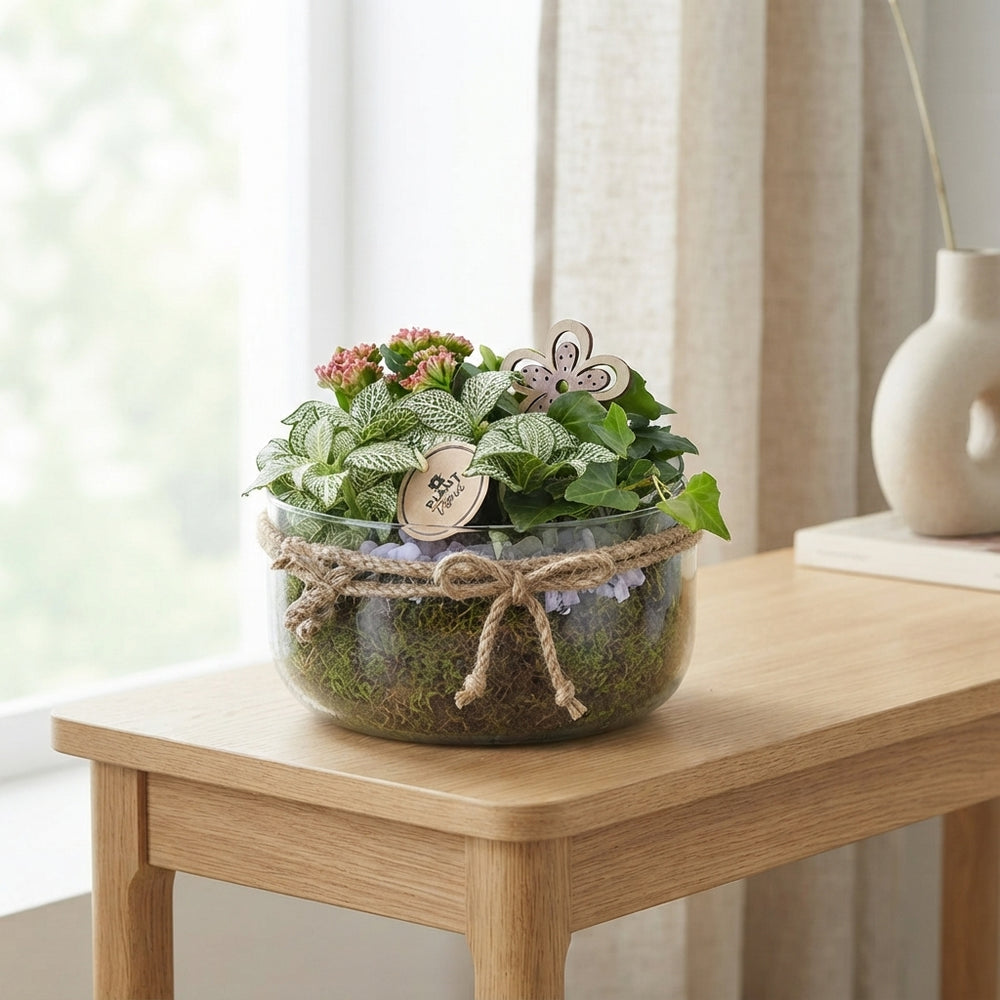 Mixed Plant Arrangement in Glass Bowl – 18cm