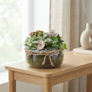 Mixed Plant Arrangement in Glass Bowl – 18cm
