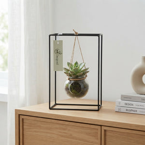 Black Metal Hanging Basket Arrangement – 20cm