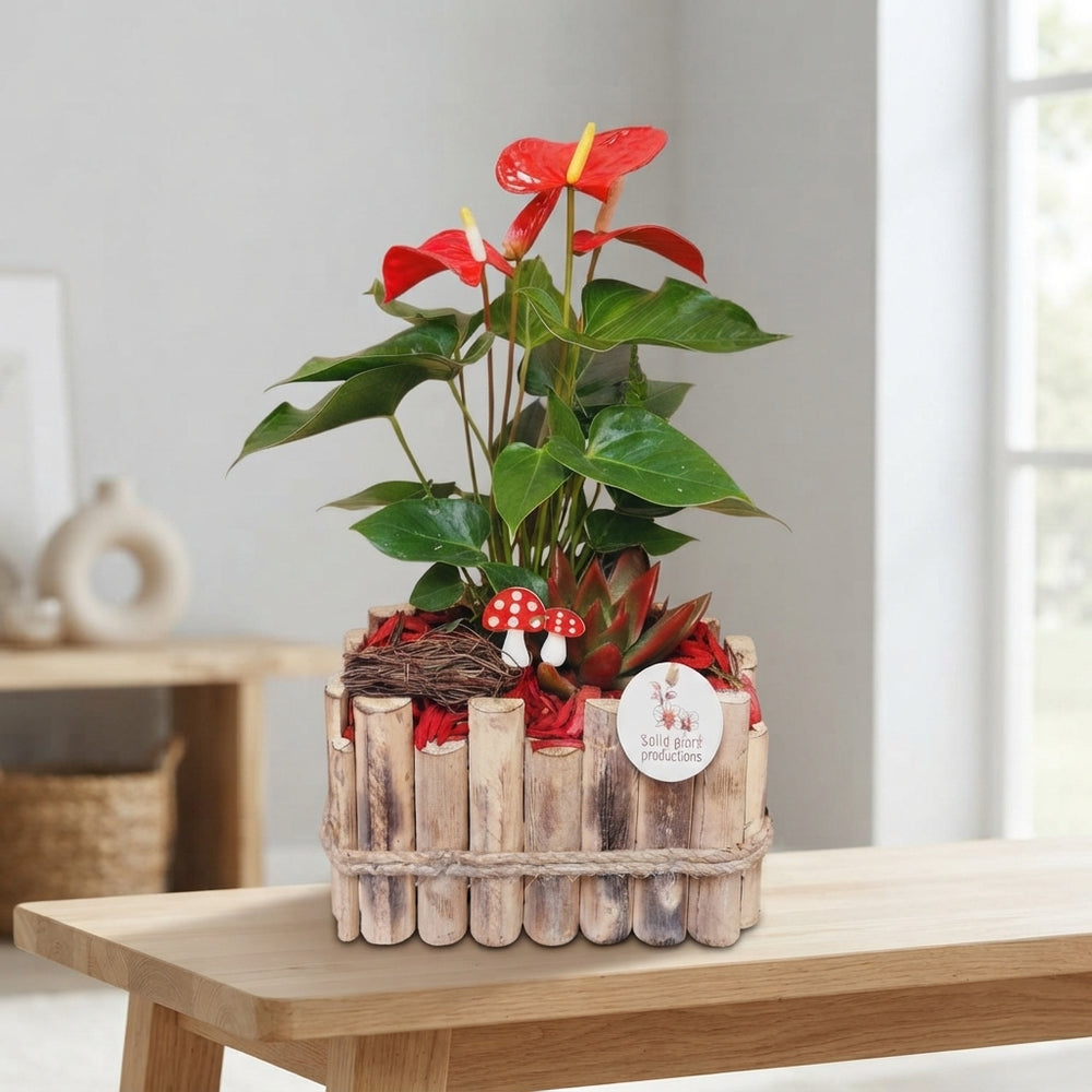 Verona Autumn Red Plant Arrangement – 30cm Pot