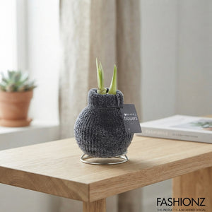 Hippeastrum Waxed Bulb – Cozy Teddy