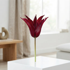 Tulip ‘Lilyflowering Sarah Raven’ – 7 Bulbs