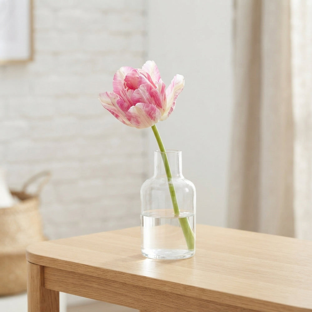 Tulipa Multiflora ‘Dream Club’ Flower Bulbs – 7 Bulbs