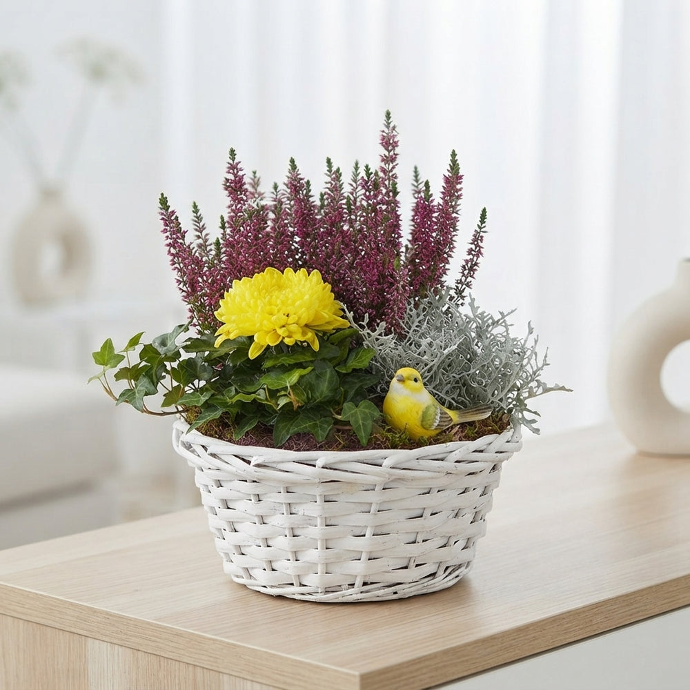 Mixed Colour Round Arrangement – White Pot