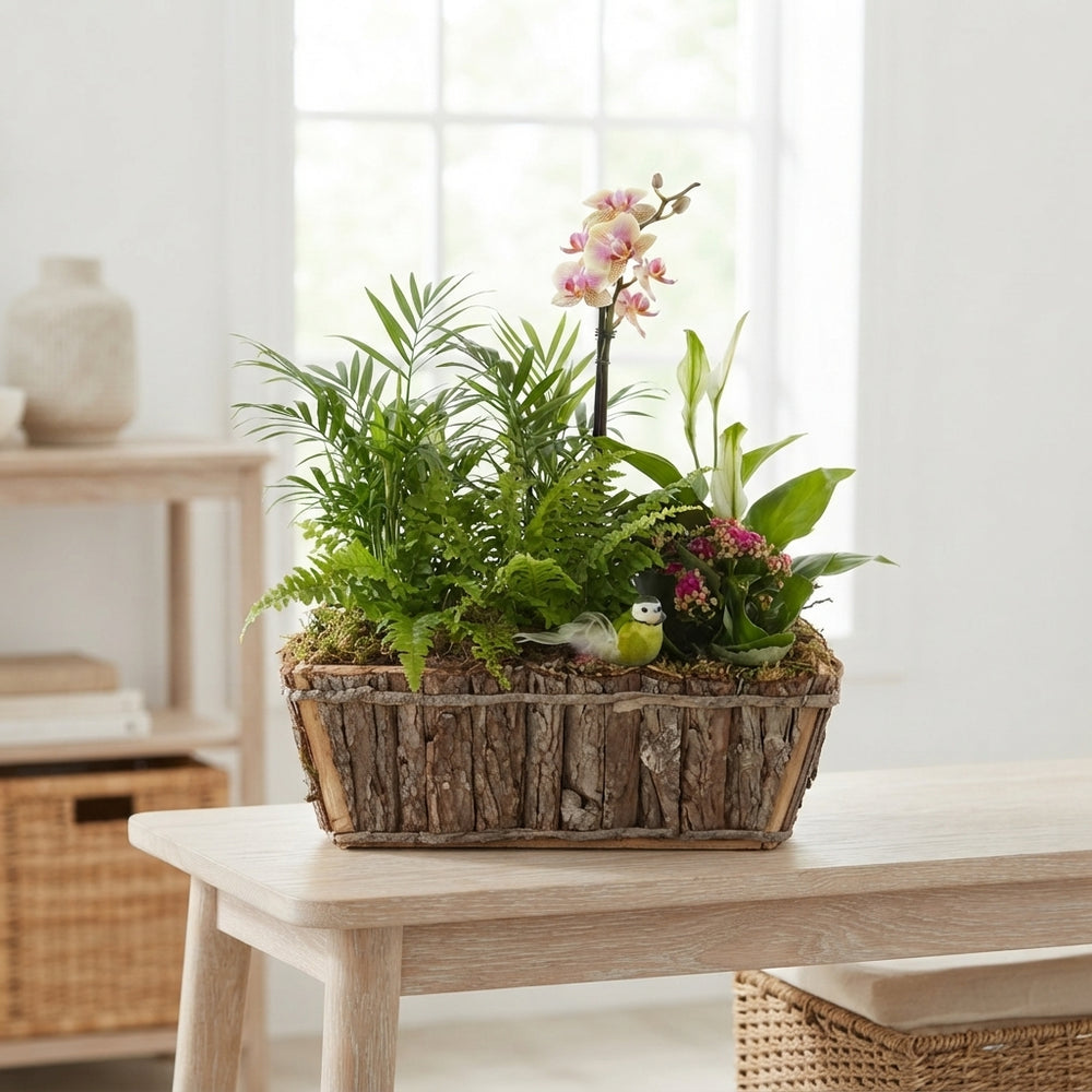 Mixed Colour Arrangement with Rectangular Bark Base