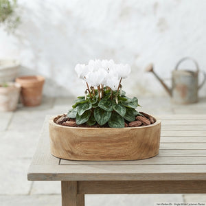Outdoor Arrangement in Oval Wooden Planter – 32cm