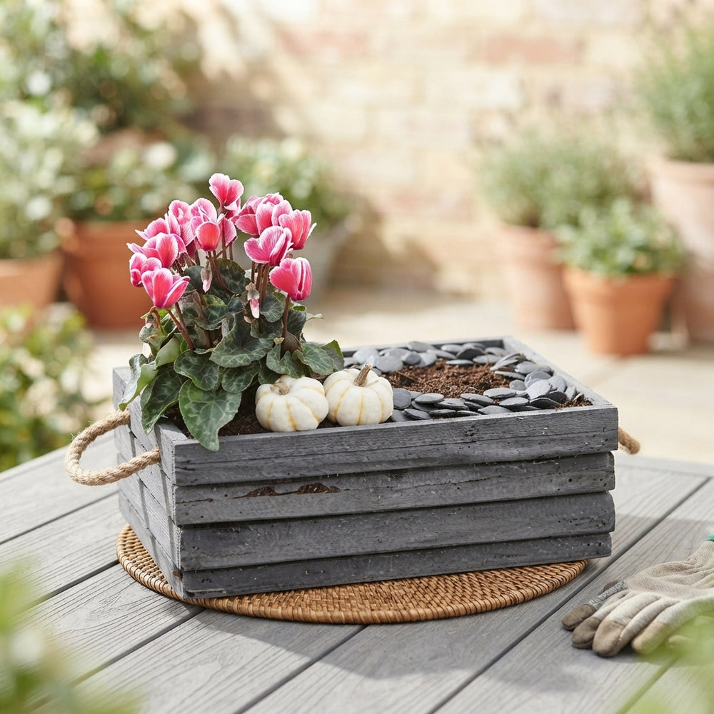 Outdoor Plant Arrangement in Dark Grey Rectangular Wooden Planter – 31cm