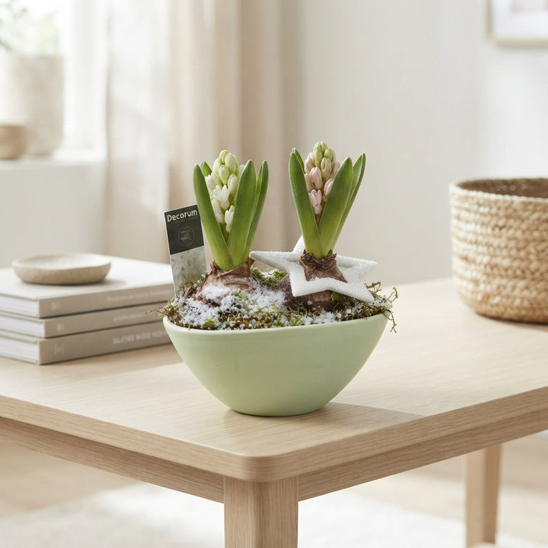 Ceramic Boat Arrangement – 16cm Pot