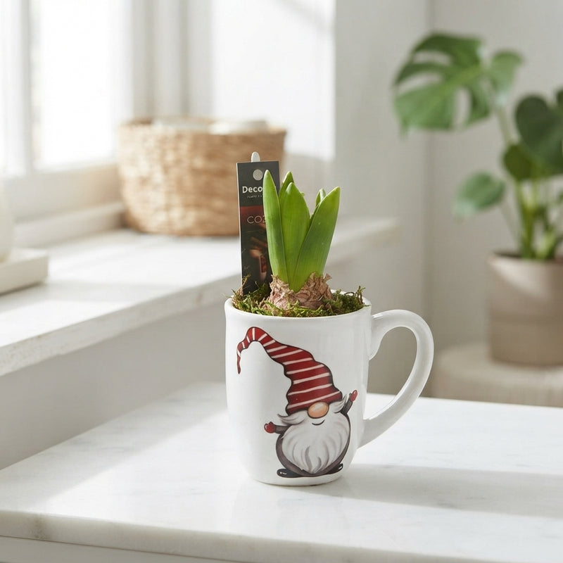 Gnome Plant Arrangement – 8cm Ceramic Pot