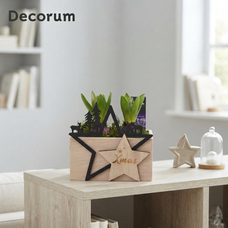 Wooden Christmas Arrangement – 16cm Pot