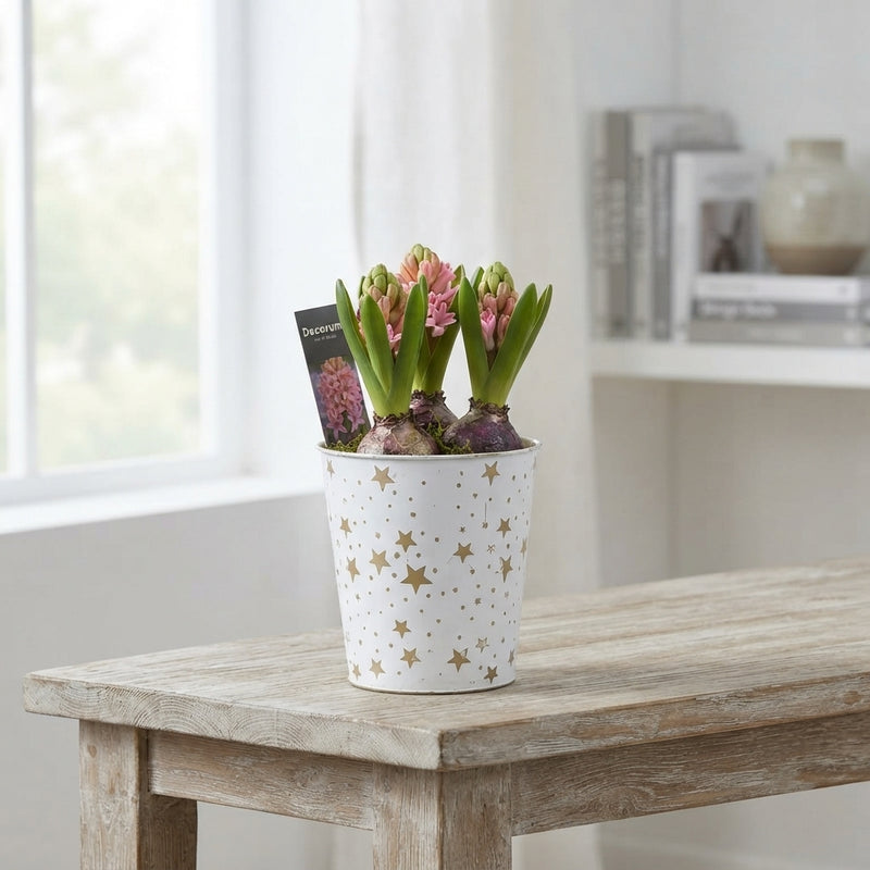 Golden Stars Floral Arrangement – 12cm Zinc Pot