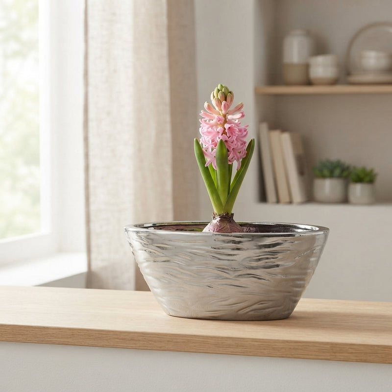 Hoya ‘Boot Spiegel’ Plant Arrangement – 28cm Ceramic Boat