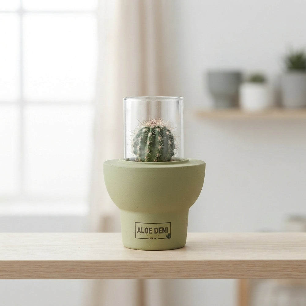 Mixed Succulent Arrangement in Ceramic Beaver Pot – 10cm