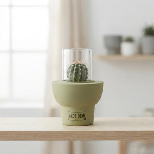 Mixed Succulent Arrangement in Ceramic Beaver Pot – 10cm