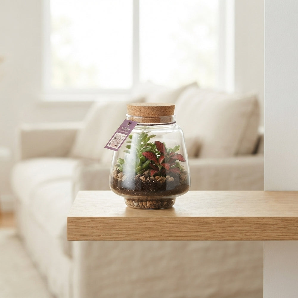 Mercurius Small Glass Terrarium – 12cm