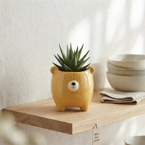 Animal Colour Mix Succulent – 14cm Pot