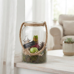 Amaryllis Arrangement in Glass Vase with Rope – 30cm